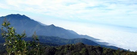 อุทยานแห่งชาติดอยอินทนนท์ (1)