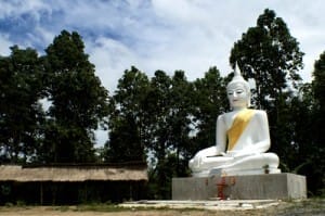 โครงการหลวงแม่ทาเหนือ (4)