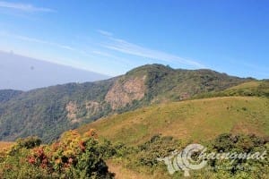 กิ่วแม่ปาน (1)