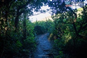 กิ่วแม่ปาน - ดอยอินทนนท์ (10)