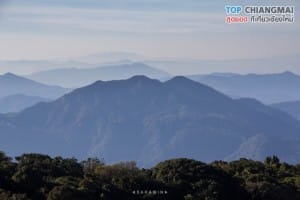 กิ่วแม่ปาน - ดอยอินทนนท์ (19)