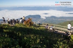 กิ่วแม่ปาน - ดอยอินทนนท์ (22)