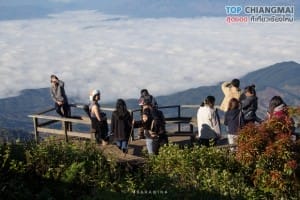 กิ่วแม่ปาน - ดอยอินทนนท์ (23)