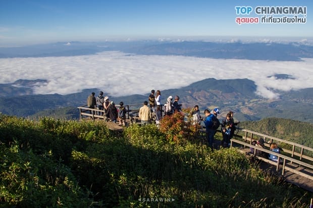 กิ่วแม่ปาน - ดอยอินทนนท์ (24)