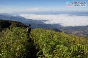 กิ่วแม่ปาน - ดอยอินทนนท์ (40)