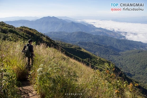 กิ่วแม่ปาน - ดอยอินทนนท์ (47)