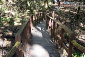 กิ่วแม่ปาน - ดอยอินทนนท์ (52)