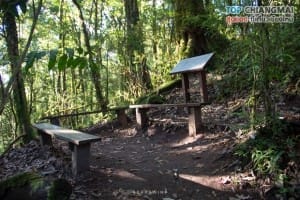 กิ่วแม่ปาน - ดอยอินทนนท์ (8)