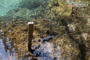 ถ้ำเชียงดาว (51)