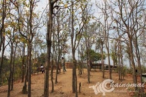 ผ่าชอ-ดอยหล่อ (1)