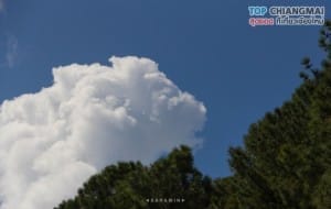 สวนสนบ่อแก้ว - ฮอด (15)