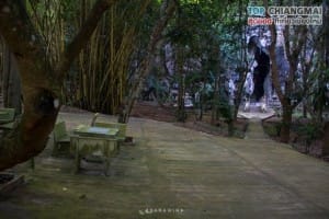 เชียงดาว - วัดถ้ำปากเปียง (2)