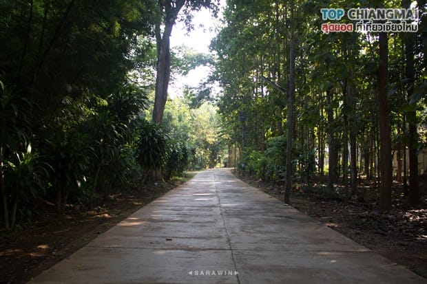 เชียงดาว - วัดถ้ำปากเปียง (25)