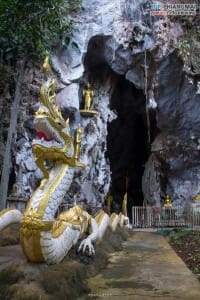 เชียงดาว - วัดถ้ำปากเปียง (5)