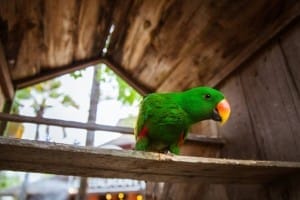 Small Farm Chiang Mai - สมอลล์ฟาร์ม รีสอร์ท (5)