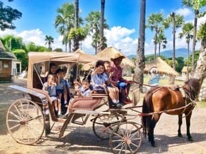 Small Farm Resort (21)