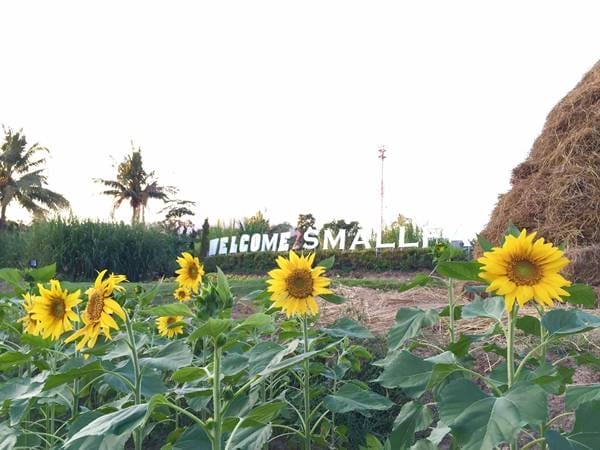 Small Farm Resort (24)