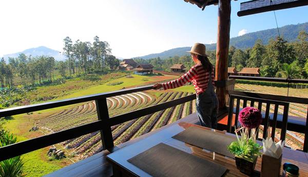 doinok-strawberry-resort (1)