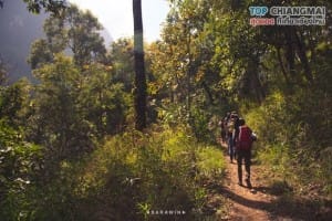 ดอยหลวง (1)