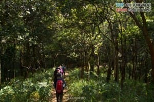 ดอยหลวง (3)