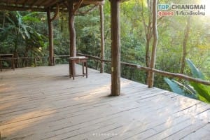 ร้านชมนก ชมไม้ - แม่กำปอง (20)