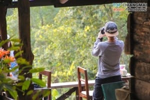 ร้านชมนก ชมไม้ - แม่กำปอง (22)