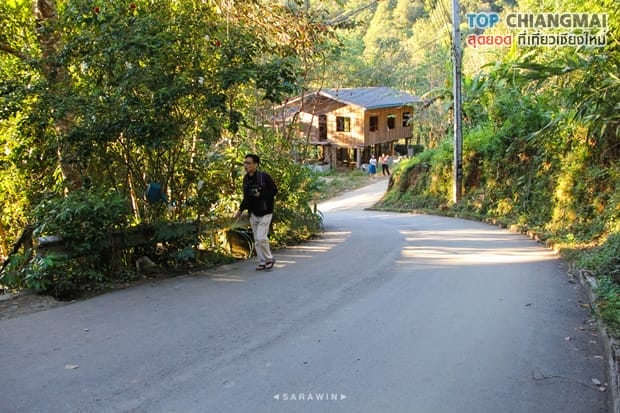 ร้านชมนก ชมไม้ - แม่กำปอง (5)