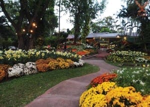 ร้านอาหารกาแล (25)