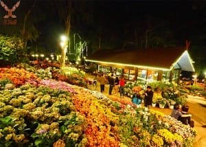 ร้านอาหารกาแล (28)