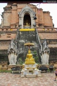 วัดเจดีย์หลวง (49)