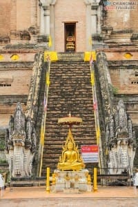 วัดเจดีย์หลวง (54)