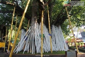 วัดเจ็ดยอด (41)