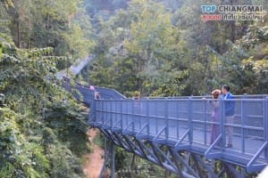 สวนพฤกษศาสตร์ - แม่ริม (10)