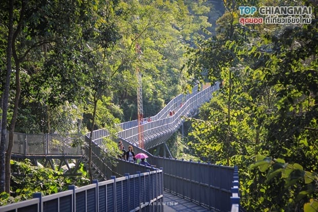 สวนพฤกษศาสตร์ - แม่ริม (12)