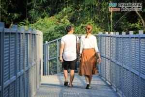 สวนพฤกษศาสตร์ - แม่ริม (15)