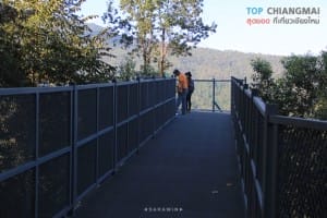 สวนพฤกษศาสตร์ - แม่ริม (17)