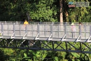 สวนพฤกษศาสตร์ - แม่ริม (21)