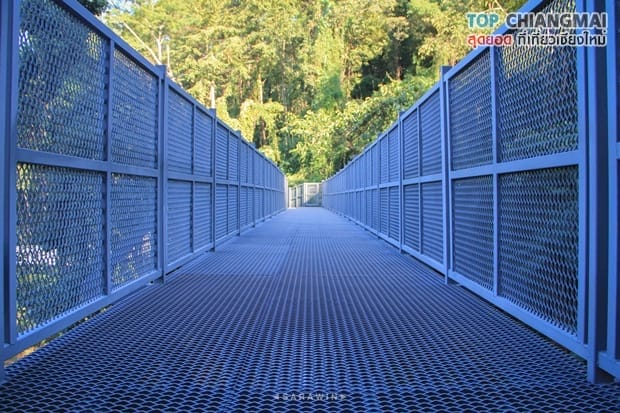 สวนพฤกษศาสตร์ - แม่ริม (22)