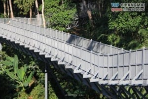 สวนพฤกษศาสตร์ - แม่ริม (23)