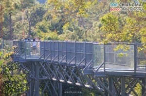สวนพฤกษศาสตร์ - แม่ริม (29)