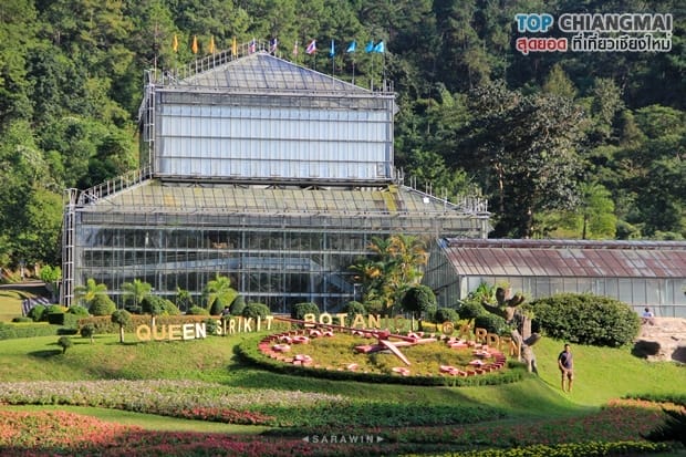สวนพฤกษศาสตร์ - แม่ริม (31)