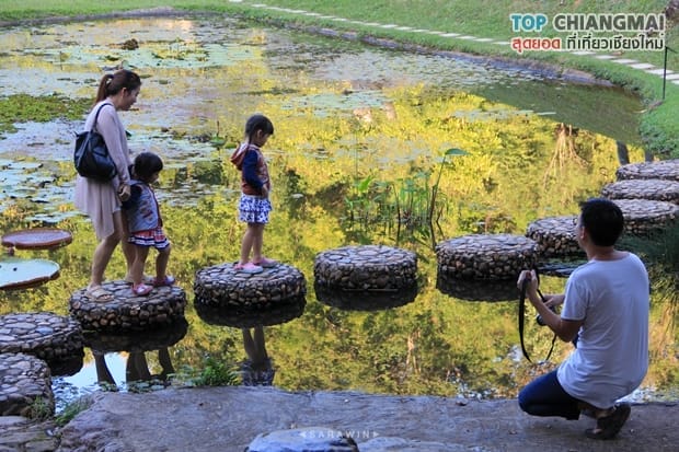 สวนพฤกษศาสตร์ - แม่ริม (33)