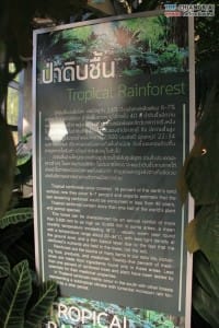 สวนพฤกษศาสตร์ - แม่ริม (37)