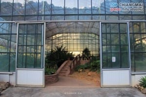 สวนพฤกษศาสตร์ - แม่ริม (41)