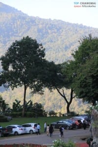 สวนพฤกษศาสตร์ - แม่ริม (44)