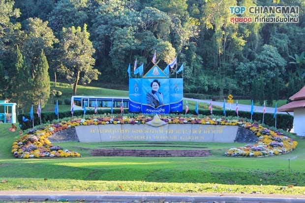 สวนพฤกษศาสตร์ - แม่ริม (48)