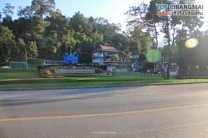 สวนพฤกษศาสตร์ - แม่ริม (49)