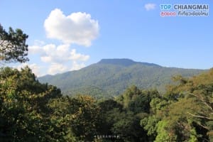 สวนพฤกษศาสตร์ - แม่ริม (6)