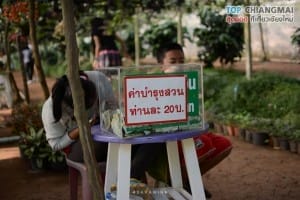 สวนอีเดน - แม่ริม (1)
