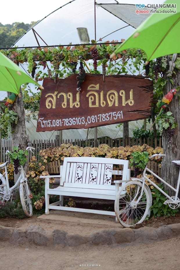 สวนอีเดน - แม่ริม (13)